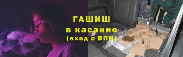 стаф Алексин