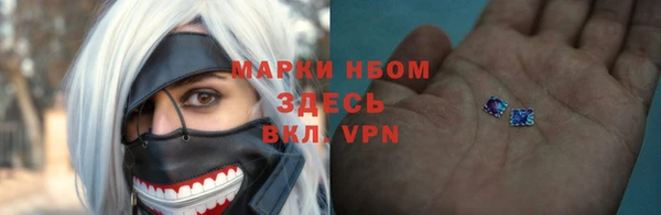стаф Алексин
