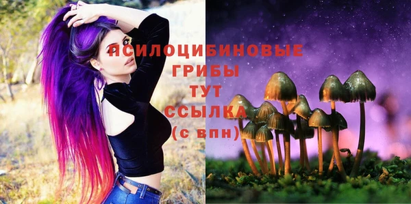 мет Алзамай