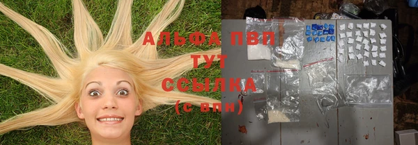 стаф Алексин