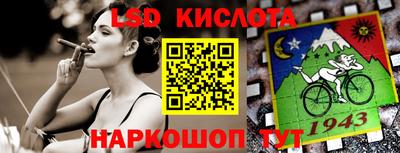 бошки Гатчина