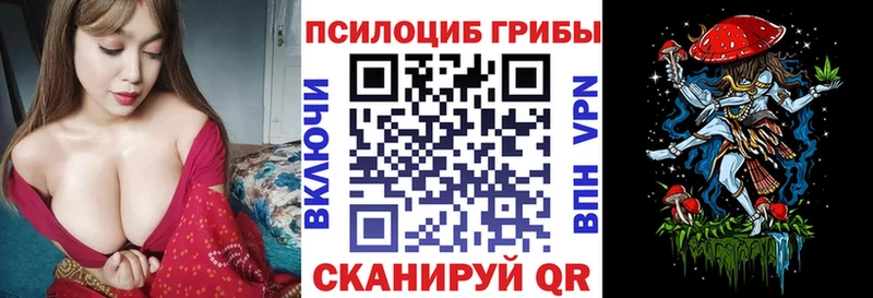 Галлюциногенные грибы Psilocybe  Краснознаменск 