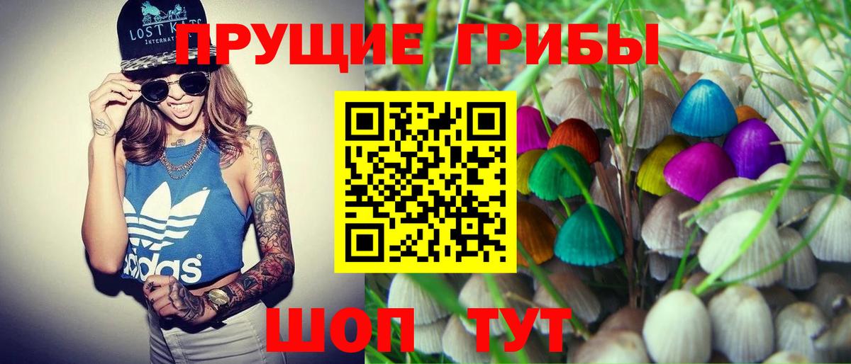 Краснознаменск  сколько стоит  Вход с VPN  Псилоцибиновые грибы Psilocybine cubensis 