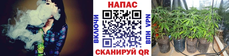 наркотики  Краснознаменск  Конопля THC 21% 